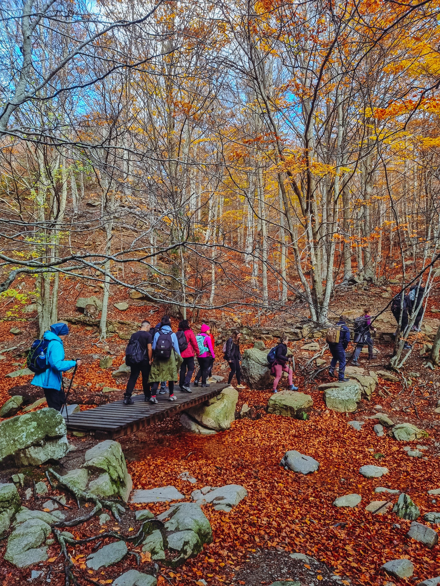 🚌 BUS 🍂 TOP 1 Ruta otoñal: Turó de L'Home 🍁 Intermedio 11km 💪 ➸ 🗓️ Sábado, 15.11.25