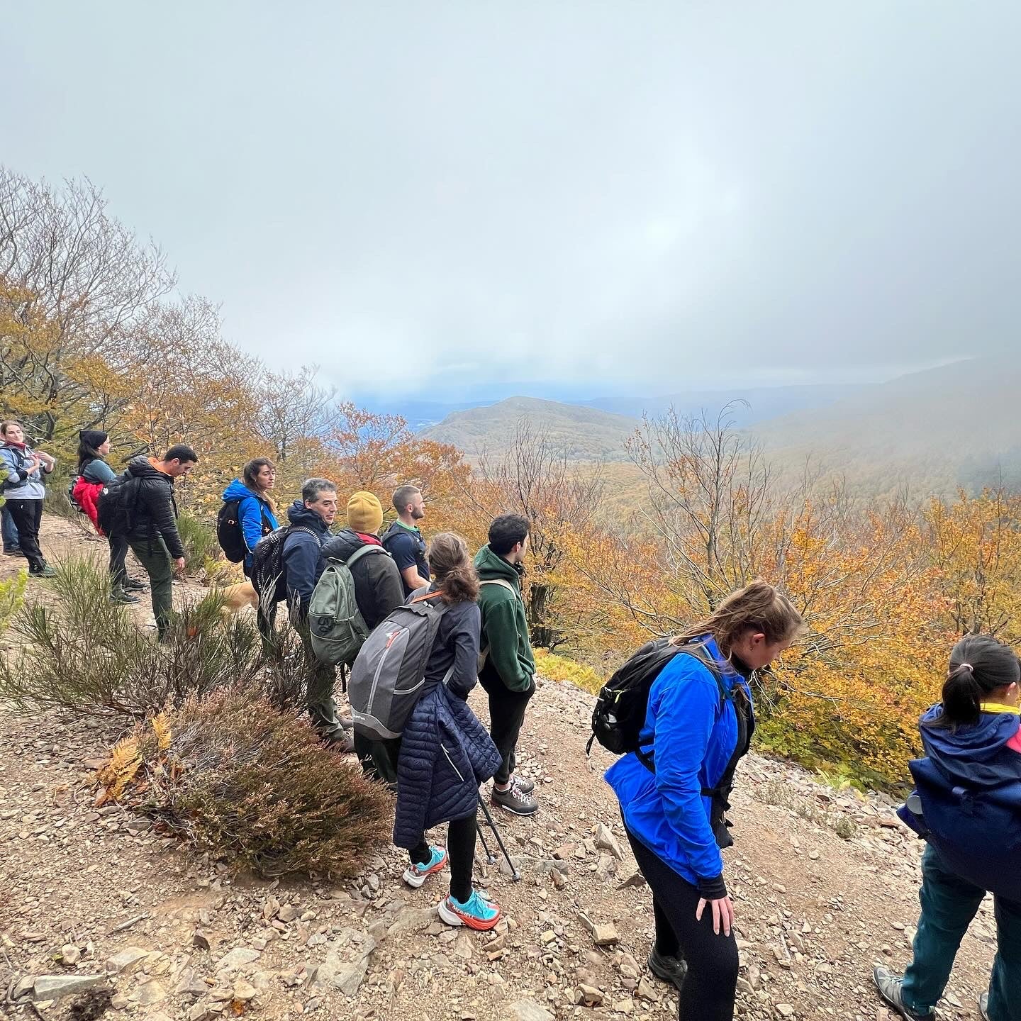 🚌 BUS 🍂 TOP 1 Ruta otoñal: Turó de L'Home 🍁 Intermedio 11km 💪 ➸ 🗓️ Sábado, 15.11.25