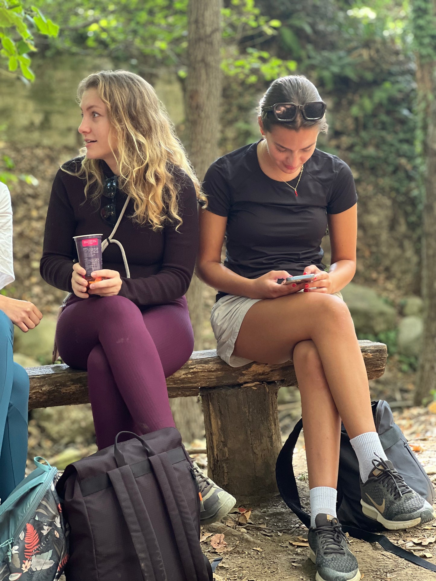 🔥3 plazas ⛰️ Ruta Montseny y la fiesta de la Castaña de Viladrau 🌰 Fácil-Intermedio 12 km💪 ➸ 📅 Sábado, 26.10.24