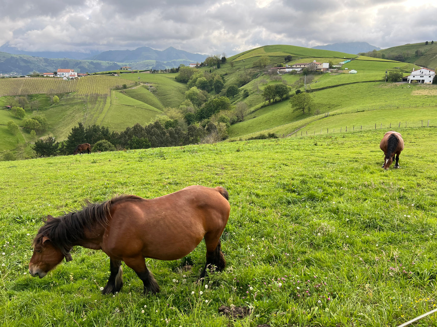 🔒COMPLETO 🎉 Puente Diciembre - Camino De Santiago Francés 👣⛰️ Intermedio 💪🏾 ➸ 📅 Jueves, 05.12.24 - Domingo, 08.12.24 💰129€-139€