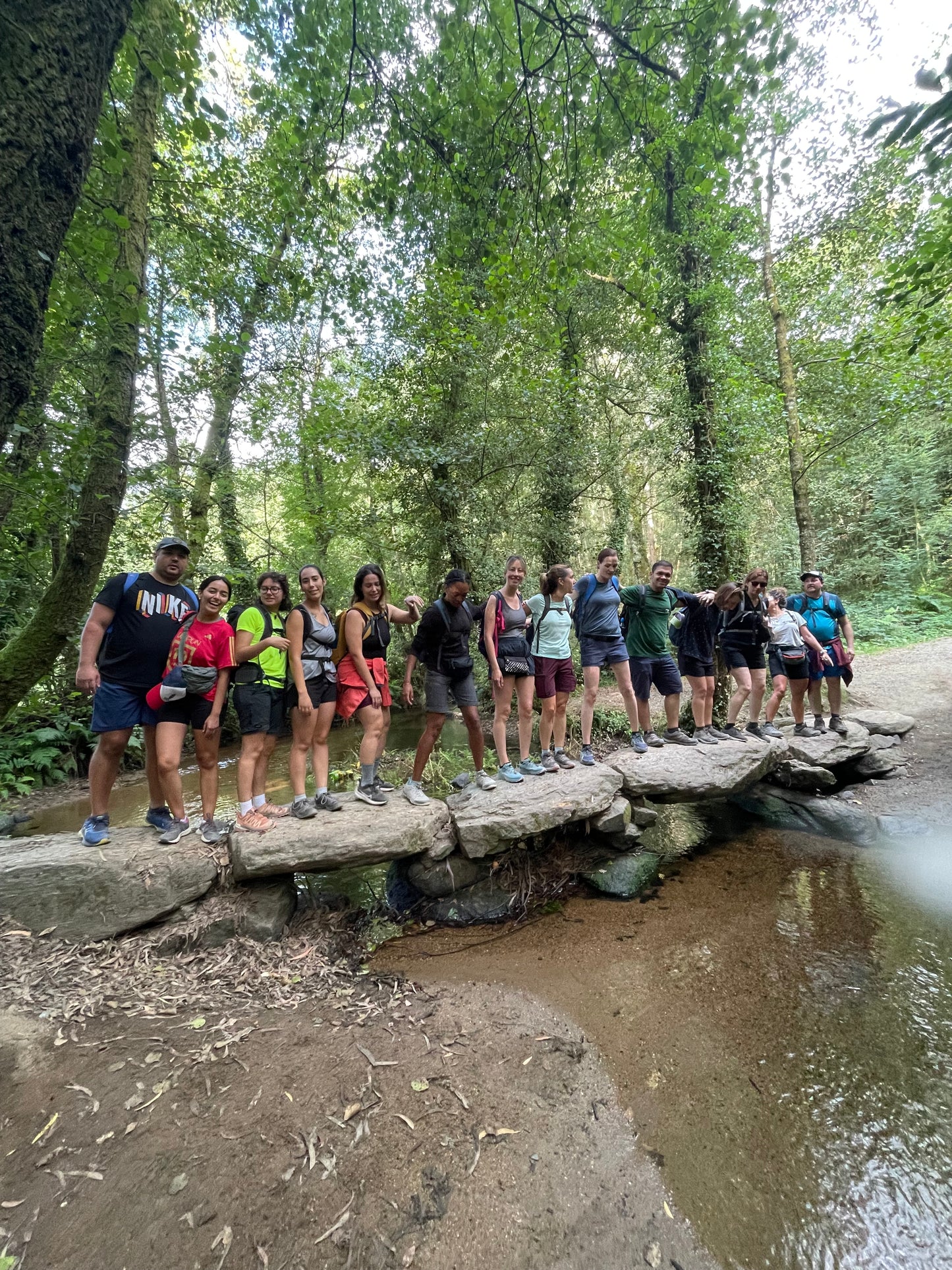 🔒COMPLETO 🎉 Puente Diciembre - Camino De Santiago Francés 👣⛰️ Intermedio 💪🏾 ➸ 📅 Jueves, 05.12.24 - Domingo, 08.12.24 💰129€-139€
