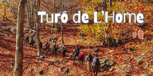🚌 BUS 🍂 TOP 1 Ruta otoñal: Turó de L'Home 🍁 Intermedio 11km 💪 ➸ 🗓️ Sábado, 15.11.25