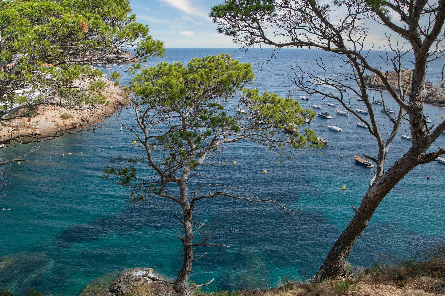 🔒 COMPLETO 🌊 Bellísimo Camí de Ronda 🌞 Platja d'Aro - Palamós 🏝️ Intermedio 10km 💪 ➸ 📅 18.03.23 💰 39€