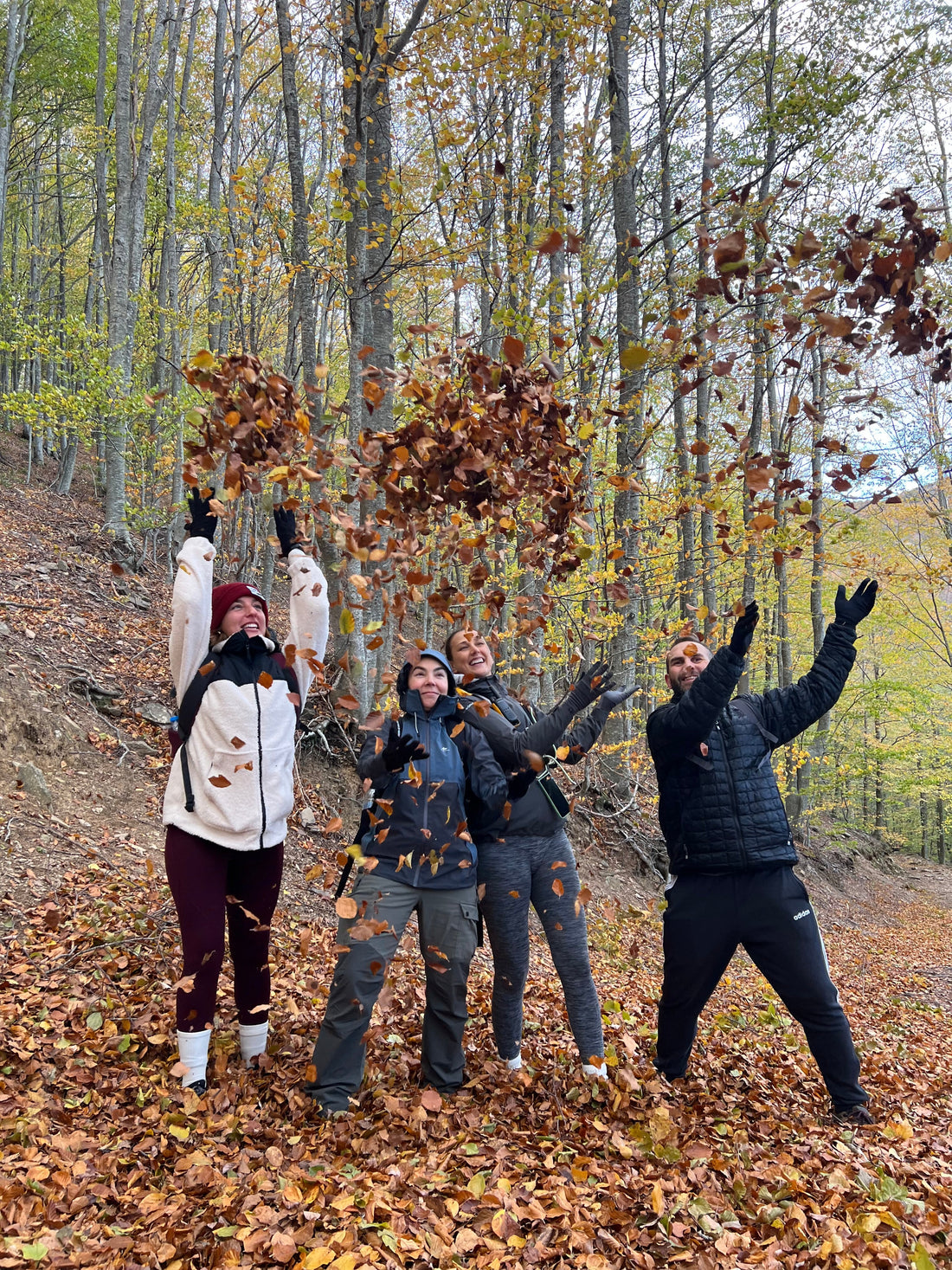 3 escapadas de otoño para disfrutar cerca de Barcelona: Fageda d’en Jordà, Turó de l’Home y Gualba