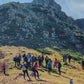 🚌 BUS 🍂 TOP 1 Ruta otoñal: Turó de L'Home 🍁 Intermedio 11km 💪 ➸ 🗓️ Sábado, 15.11.25