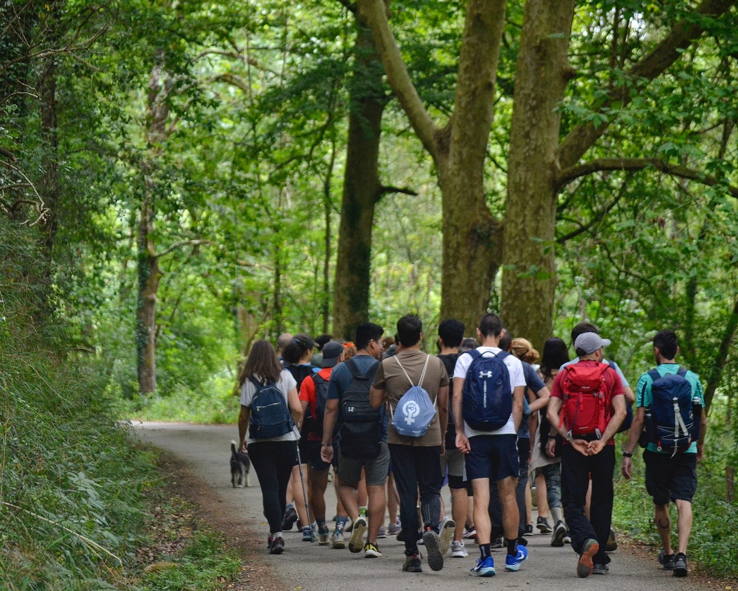 🚌 BUS URBANO 🌳 Manzanares - Charca Verde 🍂 Fácil-Intermedio 14km 💪  ➸ 🗓️ Sábado, 04.10.25