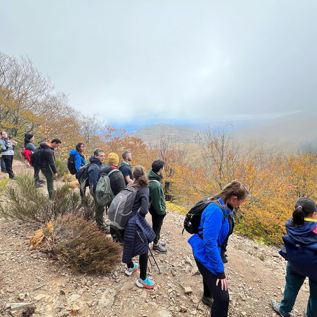 TOP 1 Ruta otoñal: Turó de L'Home