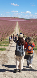 Grandfather: Journey to a fleeting sea of flowers