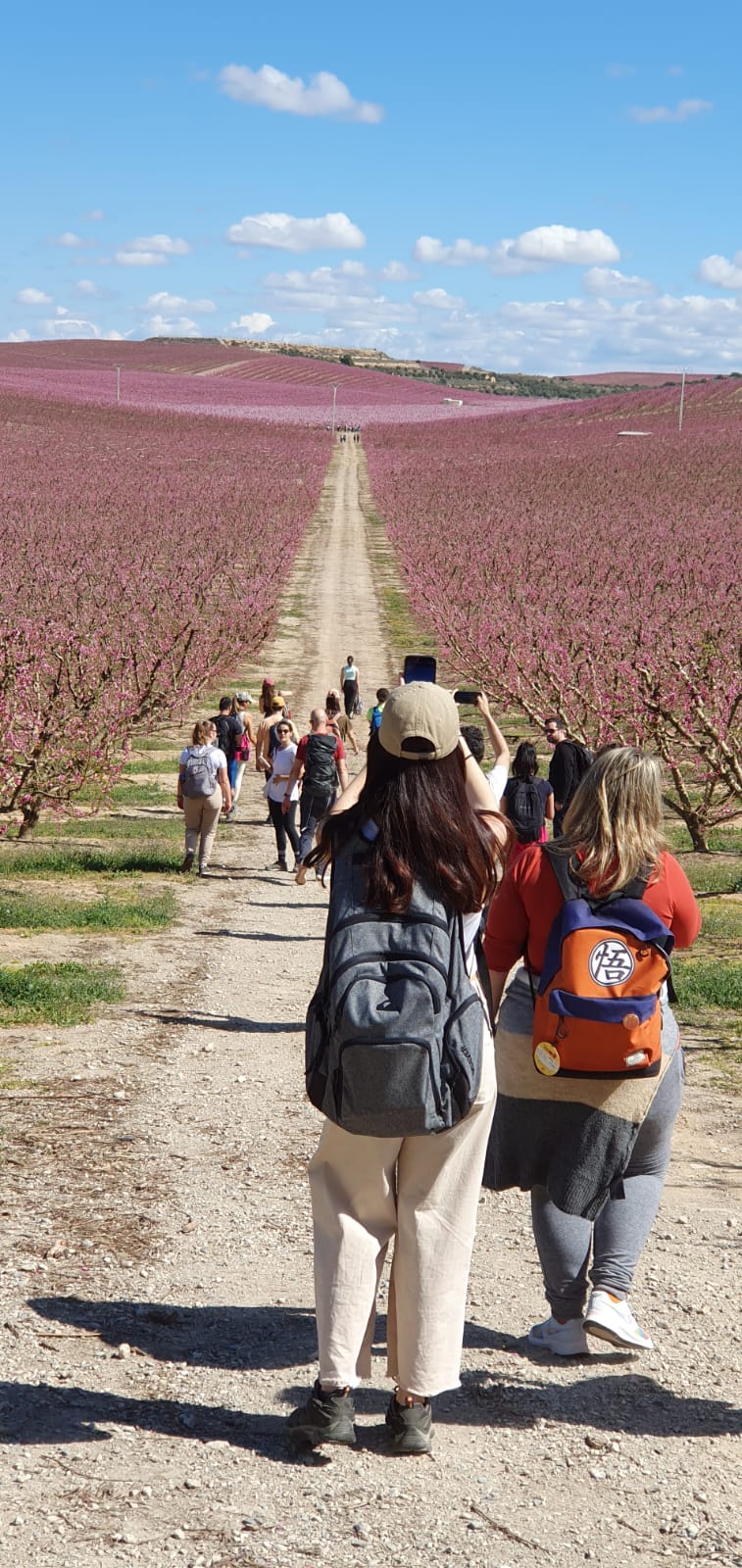 🔥4 plazas 🚌 BUS PRIVADO 🌺 Aitona: Viaje hacia un fugaz mar de flores 🌺 Fácil 15km 💪 ➸ 🗓️ Sábado, 07.03.26