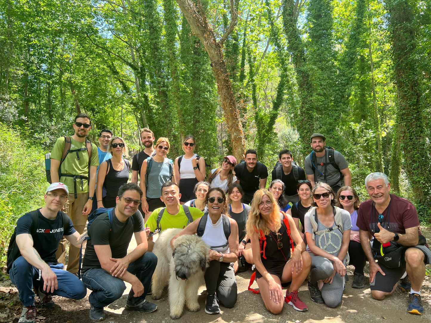 🔥8 plazas🚅 EN TREN 🙋🏼‍♀️ Preciosa ruta Gualba 🌳 Parque Natural Montseny 😍 Fácil-intermedio 14km 💪 ➸ 🗓️ Sábado, 20.09.25