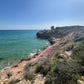 🔒 COMPLETO 👣 45-65 años 🌊 Tamarit - Waikiki - Tarragona ☀️ Intermedio 14km 💪  ➸ 🗓️ Sábado, 17.05.25