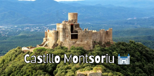 🔥3 plazas 🚅 TREN 🏰 Breda - Castillo Montsoriu ⚔️ Fácil-Intermedio 💪🏽 ➸ 🗓️Domingo, 15.02.26