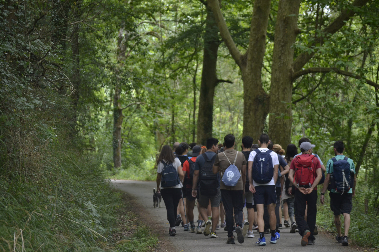 🚌 BUS URBANO 🏰 Espléndidos Castillos de Centelles ⚔️ Fácil-Intermedio 💪🏽 ➸ 🗓️ Domingo, 08.03.26
