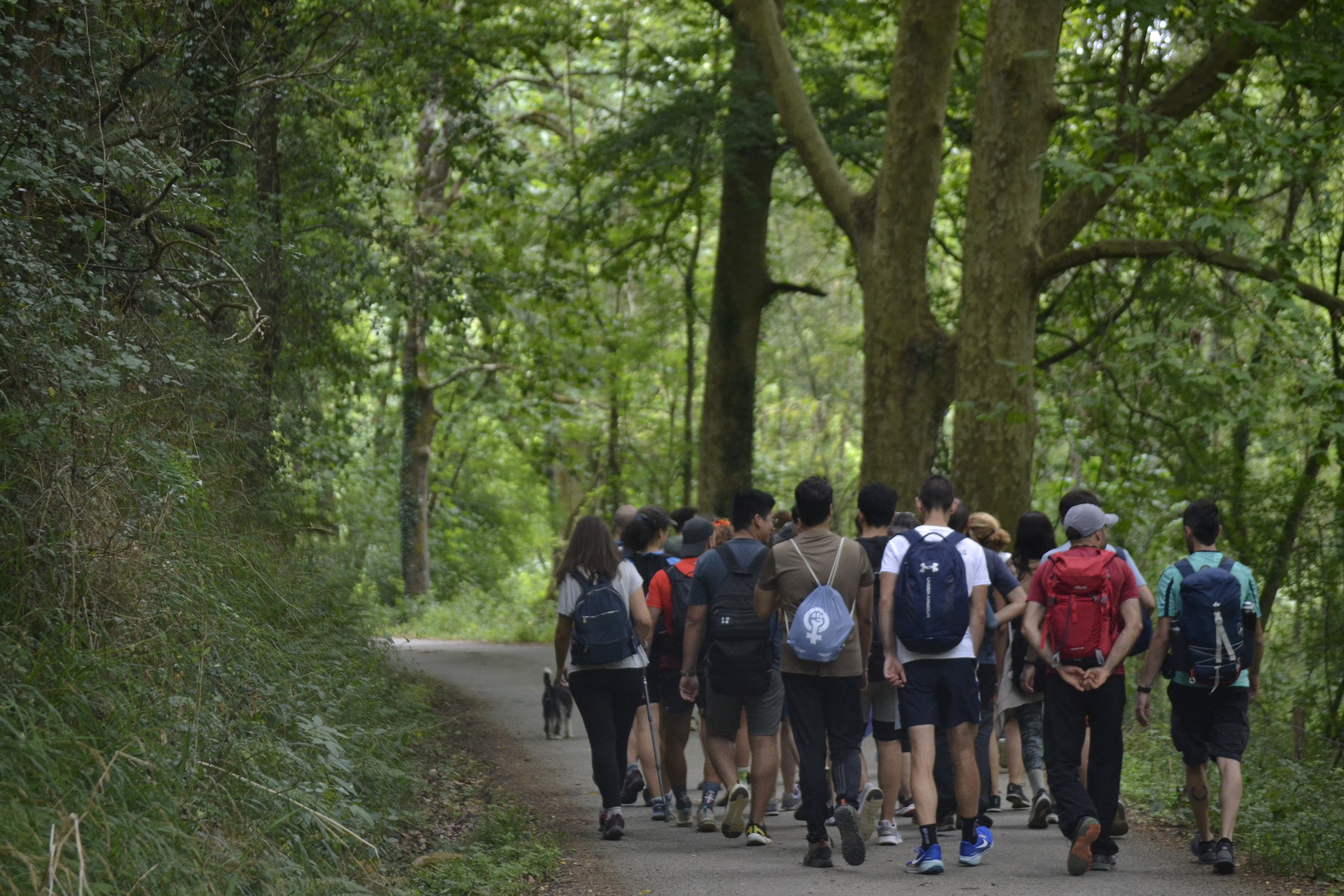 Espléndidos Castillos de Centelles