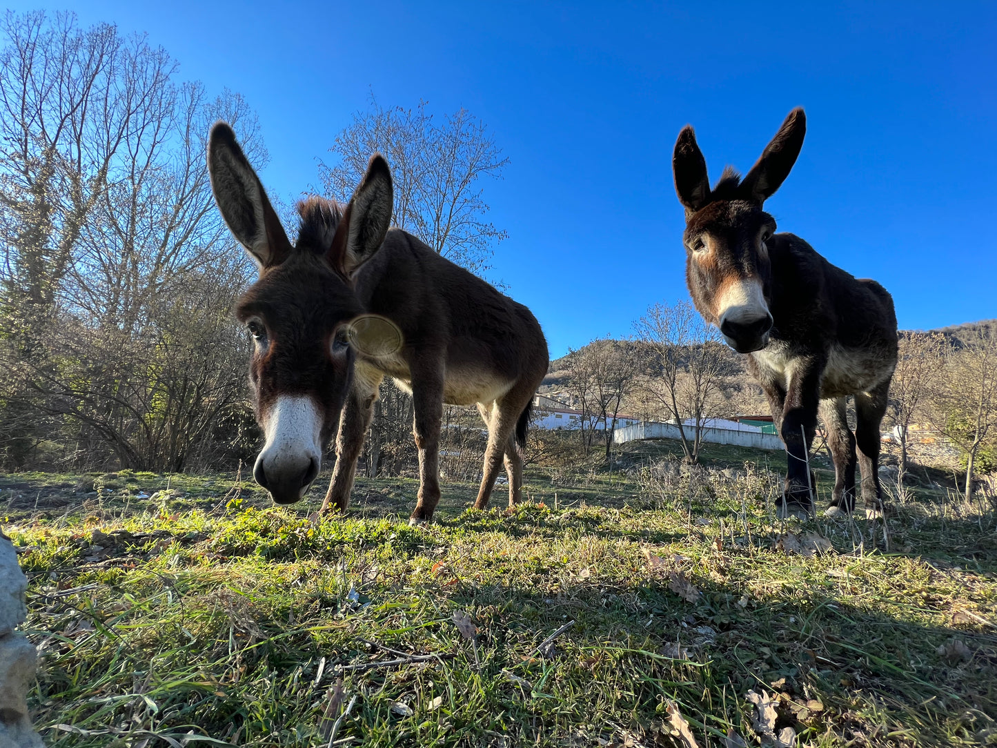 😍 Espléndido Vidrà, Cascada Molí y vista Pirineos 🦅 Intermedio 💪🏾 ➸ 🗓️ Sábado, 10.01.26