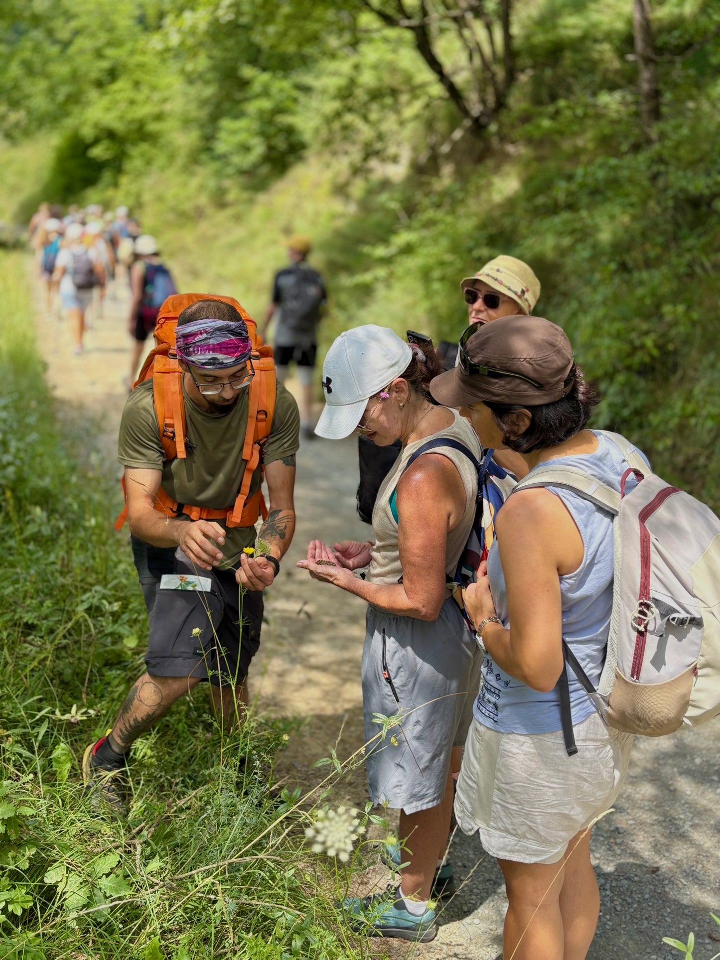 🙋🏼‍♀️ 45-65 años ❄️ SEMANA SANTA - Minivacaciones en Prepirineo 🌳 Intermedio 💪 💰219€-249€ ➸ 🗓️ Viernes, 03.04.26 - Domingo, 05.04.26