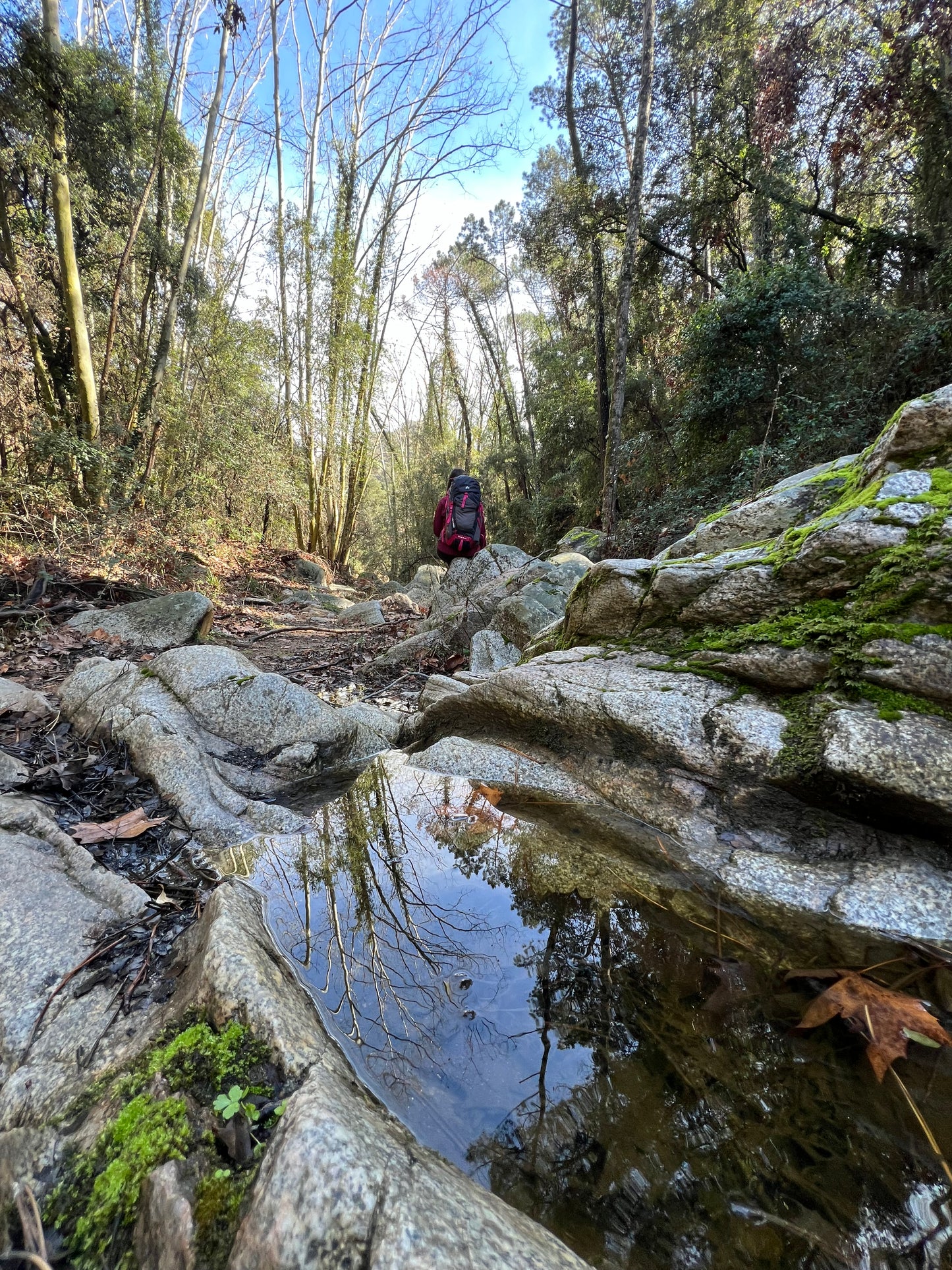 🚅EN TREN 🍁 Espléndida ruta otoñal - Parque Natural Montnegre 🍂 Fácil-Intermedio 13km 💪 ➸ 📅 Domingo, 02.11.25