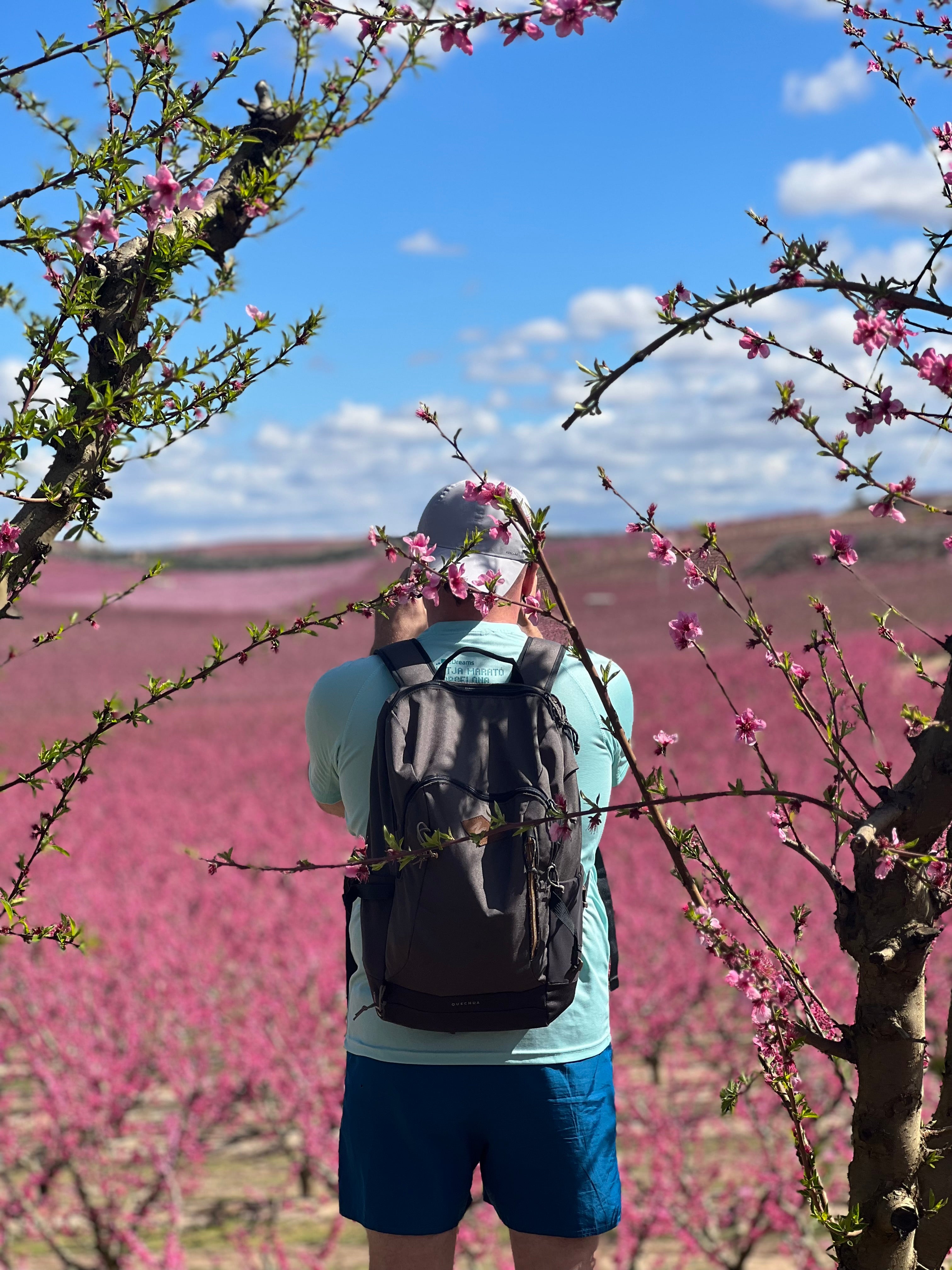 Aitona: Viaje hacia un fugaz mar de flores