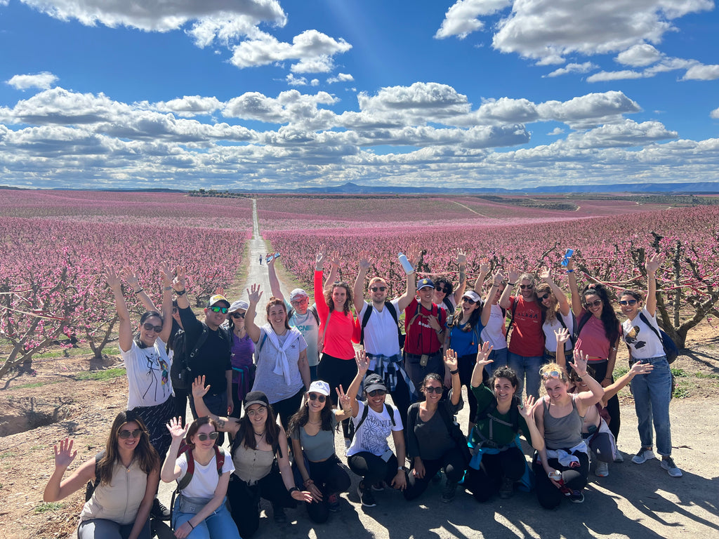 Aitona: Viaje hacia un fugaz mar de flores