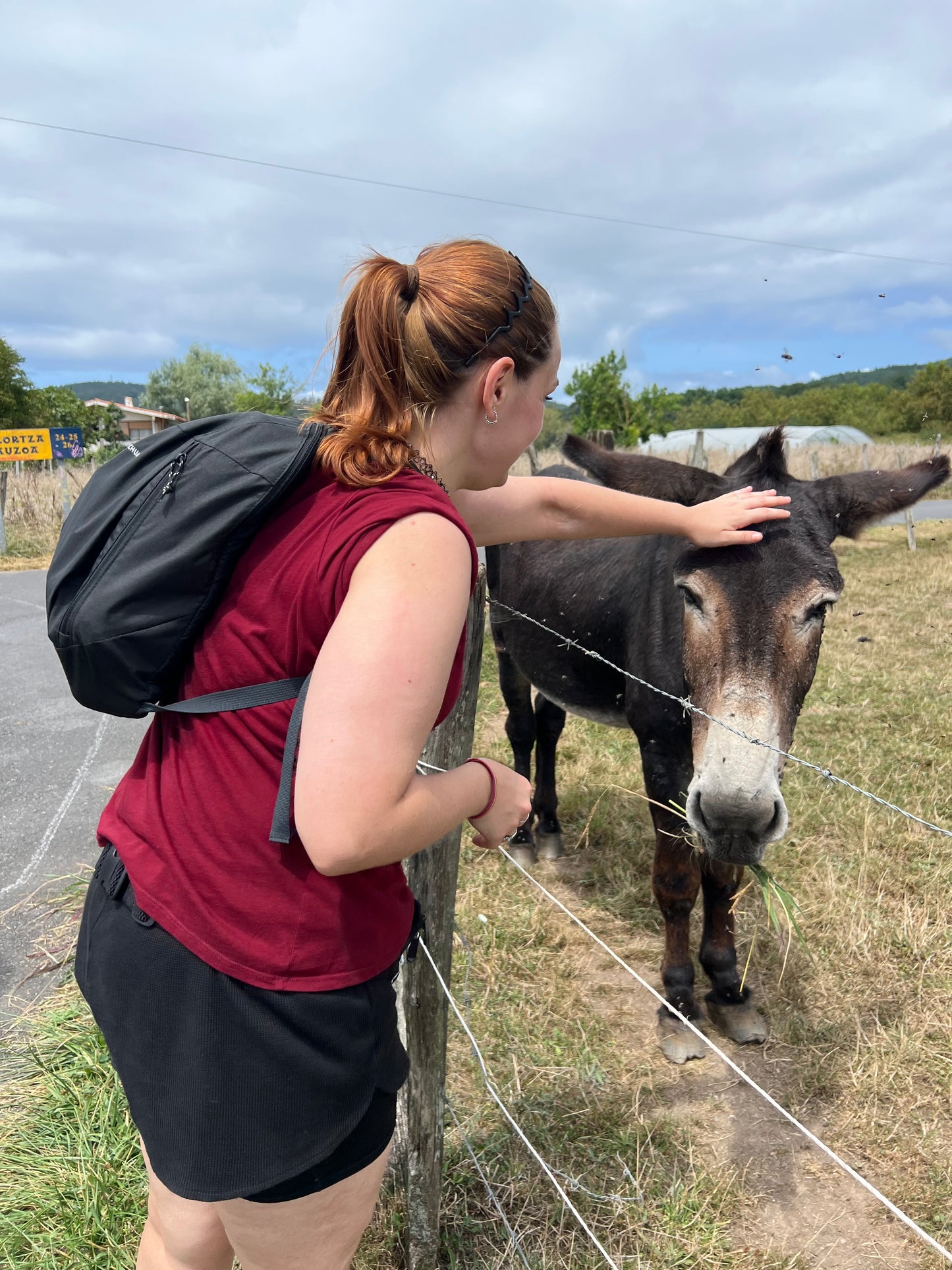 🚌 BUS URBANO 🏰 Espléndidos Castillos de Centelles ⚔️ Fácil-Intermedio 💪🏽 ➸ 🗓️ Domingo, 08.03.26