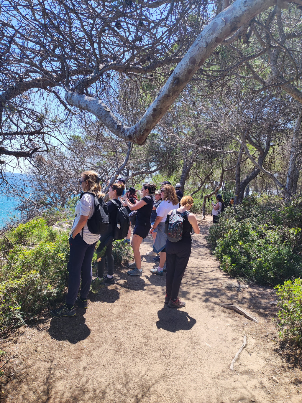 Calas turquesas: Blanes - Lloret de Mar 🙋🏻 45-65 años