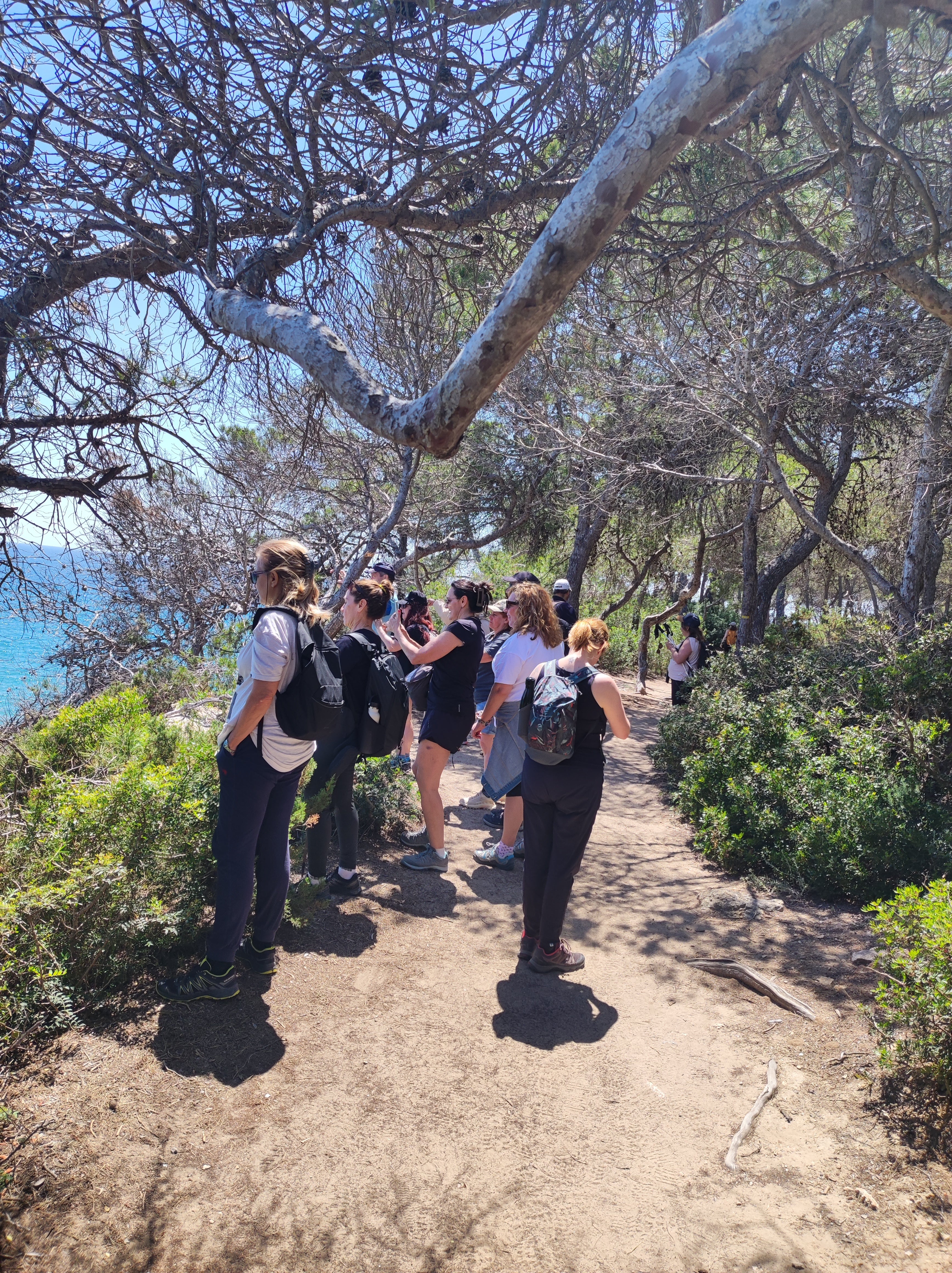 Calas turquesas: Blanes - Lloret de Mar 🙋🏻 45-65 años