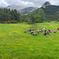 🔒COMPLETO 🚌 EN BUS 🤯 Magnífico Pedraforca 360º 🏔️ Intermedio-Avanzado 16km 💪 ➸ 📅 Sábado, 14.06.25