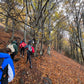🚌 BUS 🍂 TOP 1 Ruta otoñal: Turó de L'Home 🍁 Intermedio 11km 💪 ➸ 🗓️ Sábado, 15.11.25