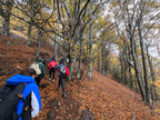 TOP 1 Ruta otoñal: Turó de L'Home