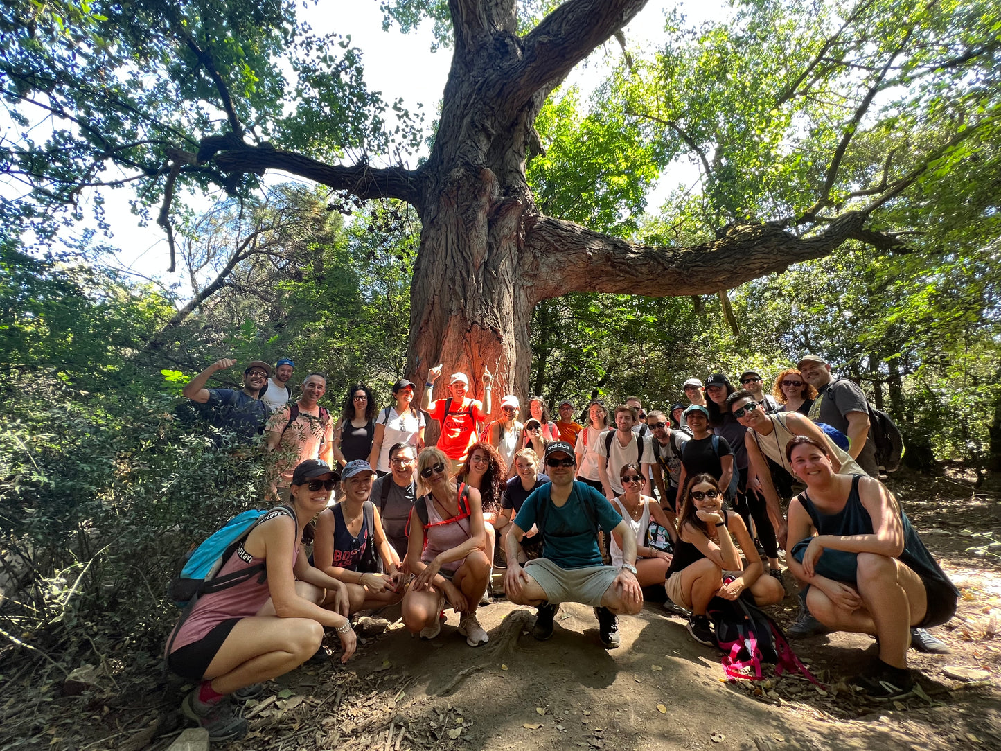 🚌 BUS URBANO 🌳 Navacerrada - Bola del Mundo - Maliciosa 🍂 Intermedio-Avanzado 12km 💪 ➸ 🗓️ Sábado, 11.10.25