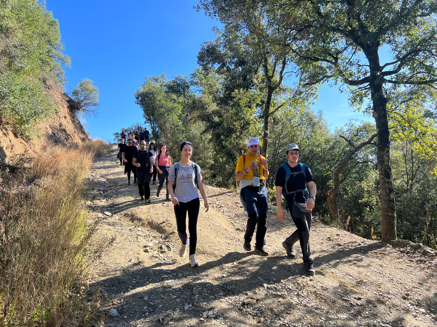 🚅EN TREN 🍁 Espléndida ruta otoñal - Parque Natural Montnegre 🍂 Fácil-Intermedio 13km 💪 ➸ 📅 Domingo, 02.11.25