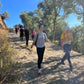 🔥8 plazas🚅 EN TREN 🙋🏼‍♀️ Preciosa ruta Gualba 🌳 Parque Natural Montseny 😍 Fácil-intermedio 14km 💪 ➸ 🗓️ Sábado, 20.09.25