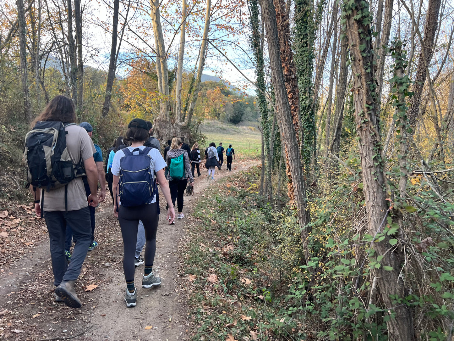 🔥8 plazas🚅 EN TREN 🙋🏼‍♀️ Preciosa ruta Gualba 🌳 Parque Natural Montseny 😍 Fácil-intermedio 14km 💪 ➸ 🗓️ Sábado, 20.09.25