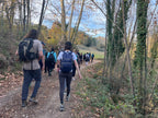 Espléndida rutita invernal - Parque Natural Montnegre