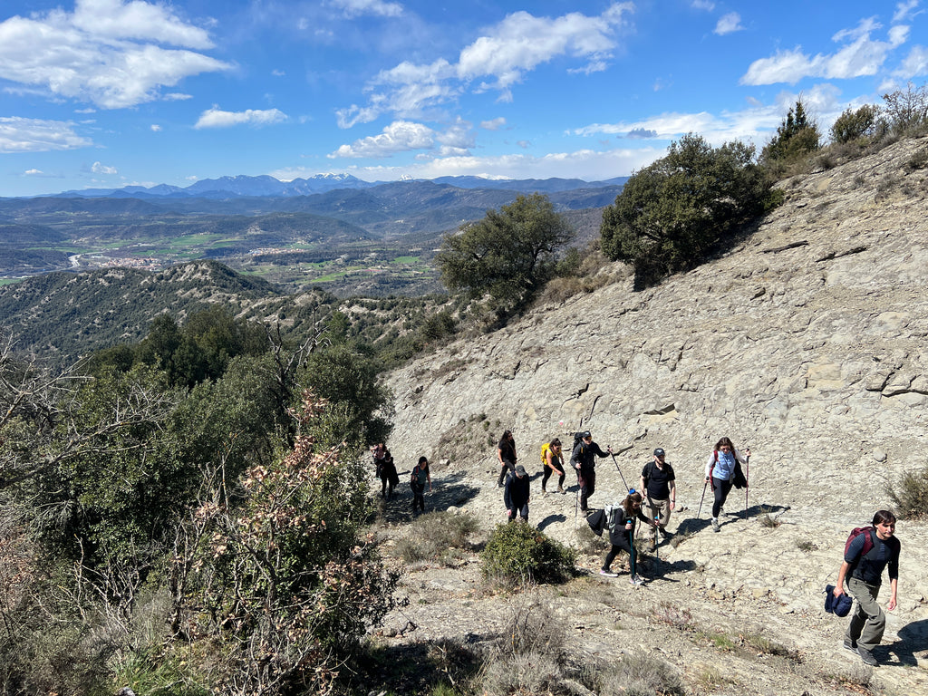 Espléndidos Castillos de Centelles