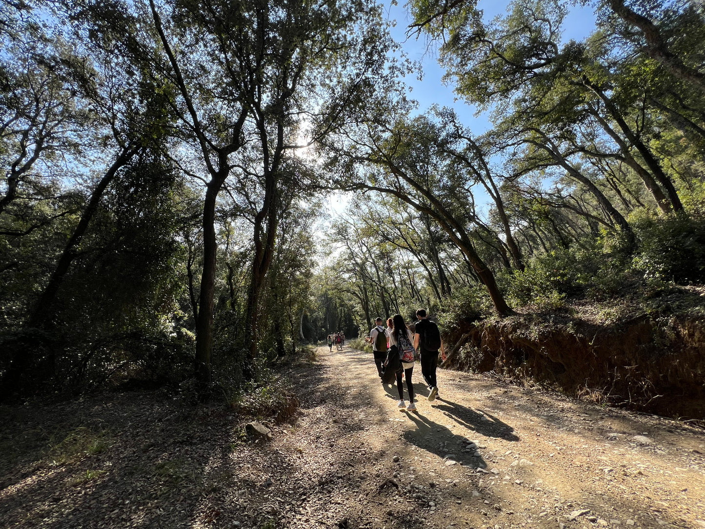 🔥8 plazas🚅 EN TREN 🙋🏼‍♀️ Preciosa ruta Gualba 🌳 Parque Natural Montseny 😍 Fácil-intermedio 14km 💪 ➸ 🗓️ Sábado, 20.09.25