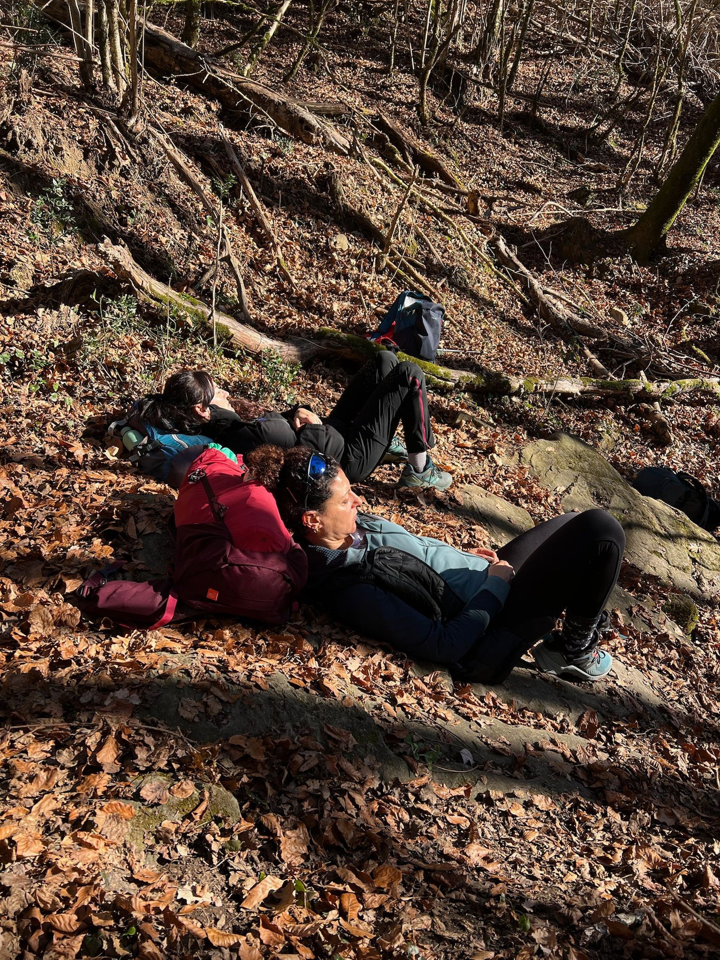 🙋🏻45-65 años 🚅EN TREN🌳 Increíble Parque Natural Montnegre 🌸 Fácil-Intermedio 13km 💪 ➸ 🗓️ Sábado, 27.09.25