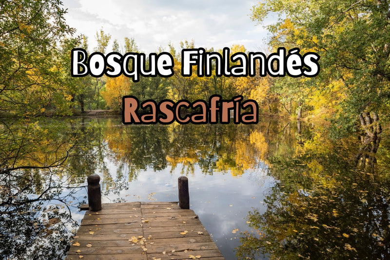 Increíble bosque Finlandés en Rascafría
