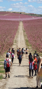 Aitona: Viaje hacia un fugaz mar de flores