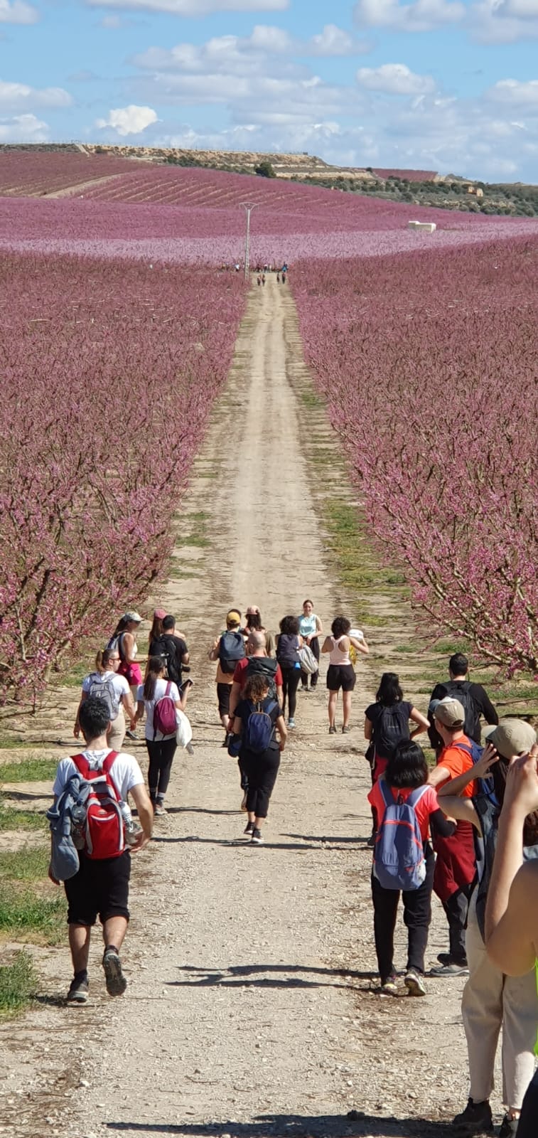Aitona: Viaje hacia un fugaz mar de flores
