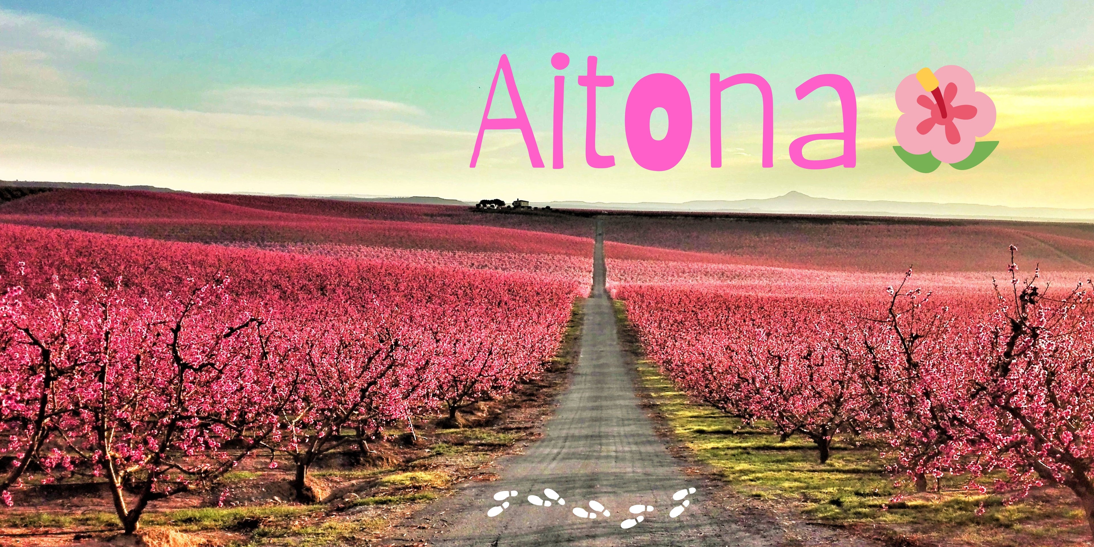 Aitona: Viaje hacia un fugaz mar de flores