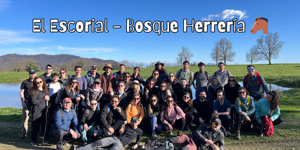 El Escorial - Bosque de la Herrería