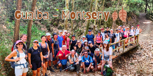 🚅TREN 🍁 Preciosa ruta otoñal Gualba 🌳 Montseny 🍂 Fácil-intermedio 14km 💪 ➸ 🗓️ Sábado, 08.11.25