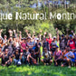 🌸 Rutita chill - Parque Natural Montnegre 🌳 Fácil-Intermedio 13km 💪 ➸ 🗓️ Domingo, 28.09.24