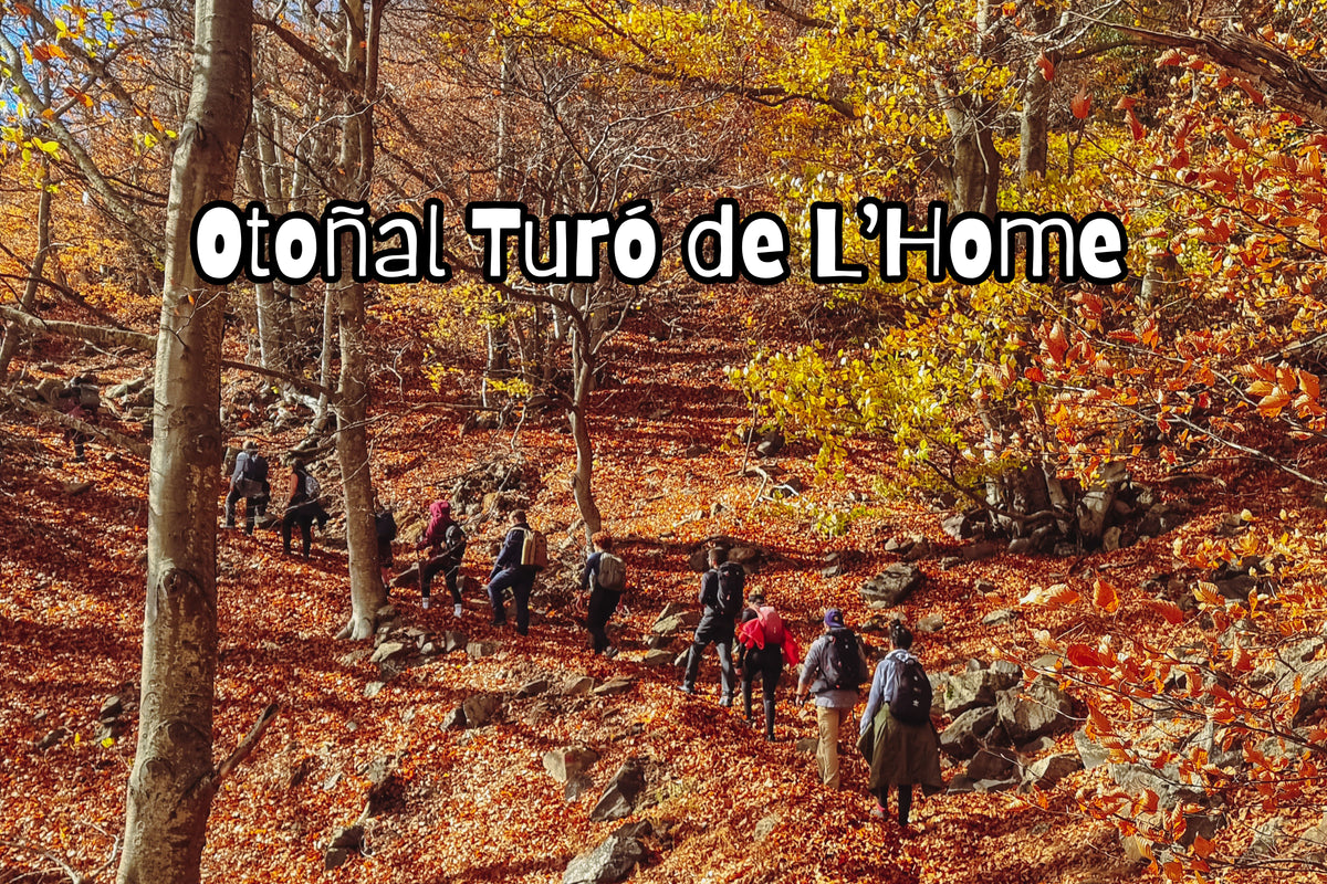 TOP 1 Ruta otoñal: Turó de L'Home