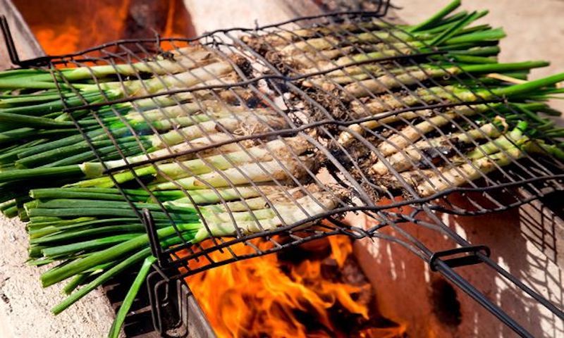 Spectacular Castellfollit & calçotada!